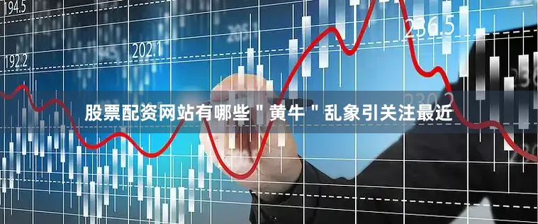 股票配资网站有哪些＂黄牛＂乱象引关注最近