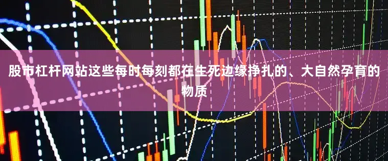 股市杠杆网站这些每时每刻都在生死边缘挣扎的、大自然孕育的物质