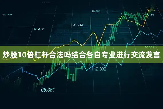 炒股10倍杠杆合法吗结合各自专业进行交流发言