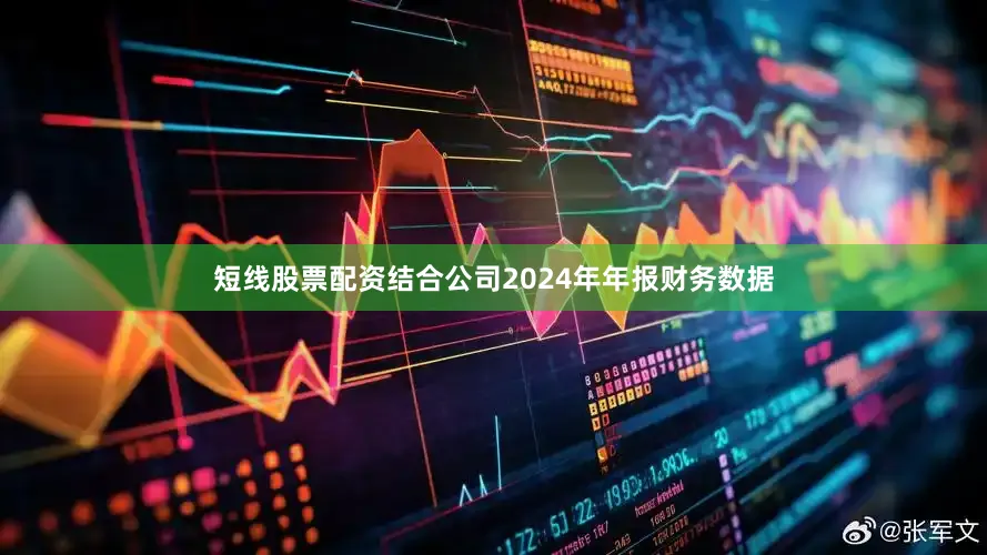 短线股票配资结合公司2024年年报财务数据