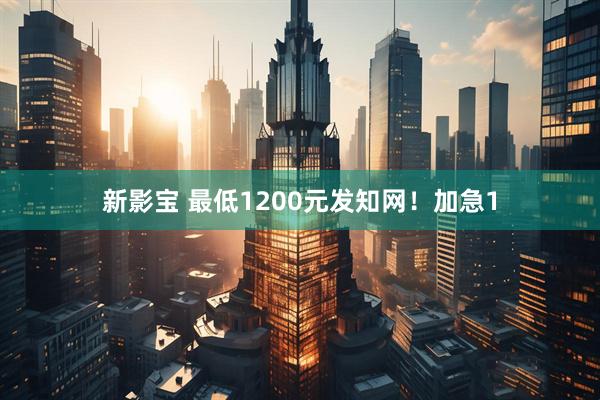 新影宝 最低1200元发知网！加急1