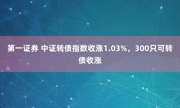 第一证券 中证转债指数收涨1.03%，300只可转债收涨