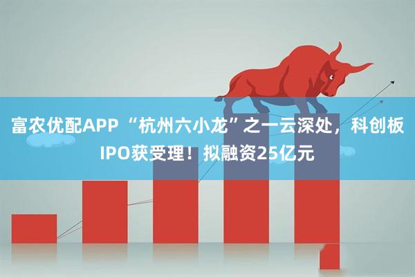 富农优配APP “杭州六小龙”之一云深处，科创板IPO获受理！拟融资25亿元