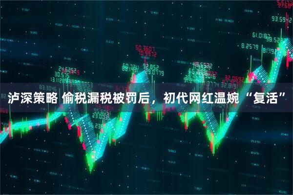泸深策略 偷税漏税被罚后，初代网红温婉 “复活”